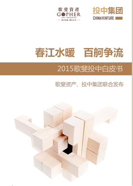 2015歌斐投中白皮書